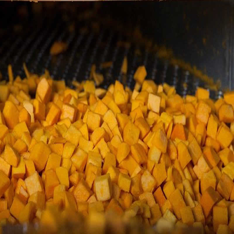 IDDSI Texture Modified Food example 2