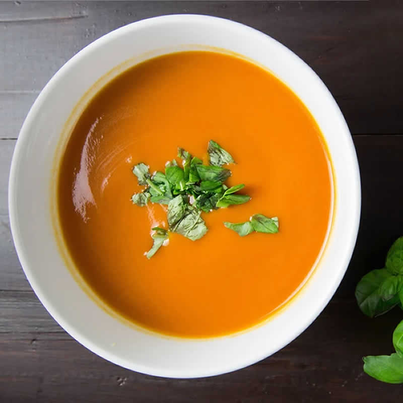 pureed food for adults 1