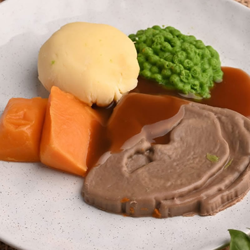 Meal | Smooth Puree of Lamb and Veggies